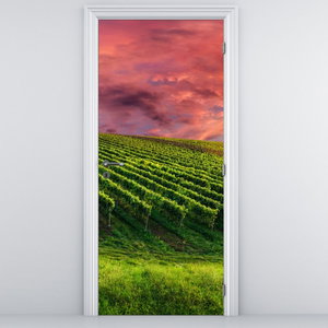 Türtapete - Weinberg mit farbigem Himmel
