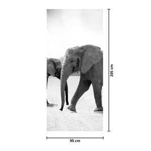 Deursticker - Zwart-witte olifanten (4)