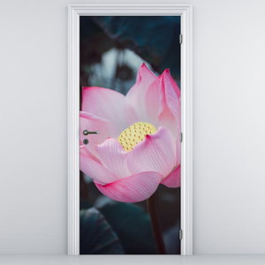 Fototapeta na dvere - Ružové kvety