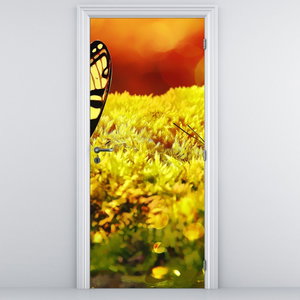 Fototapeta na dvere - Motýle