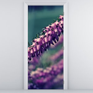 Fototapeta na dvere - Levanduľa
