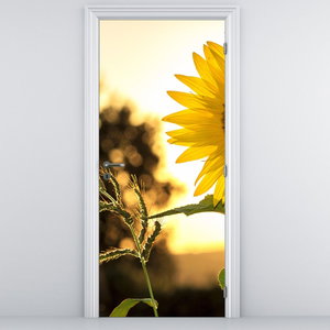 Türtapete - Sonnenblumen