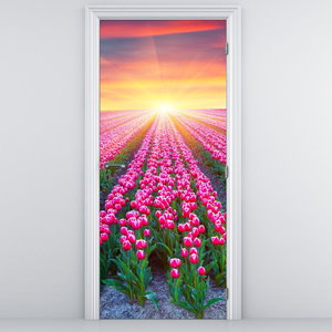 Foto tapeta za vrata - Polje tulipana sa suncem