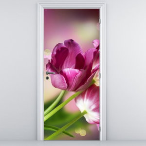 Fototapeta na dveře - Růžové tulipány