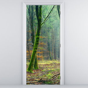 Türtapete - Wald
