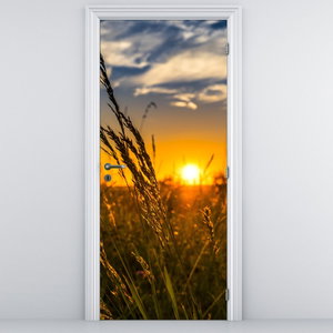 Fototapeta na drzwi - Pole o zachodzie Słońca