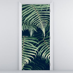 Fototapeta na dvere - Listy papradí