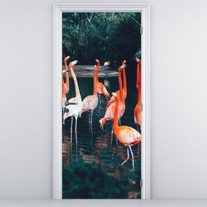 Fotótapéta ajtóra - Flamingócsorda