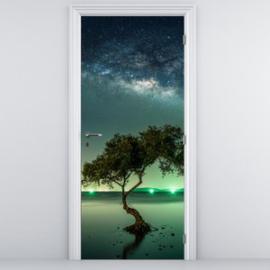 Fototapeta na dveře - Noční nebe