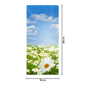 Fototapeta na dvere - Rozkvitnutá lúka s margarétami (4)