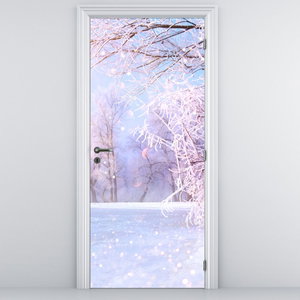 Fototapeta na dveře - Mrazivá zima