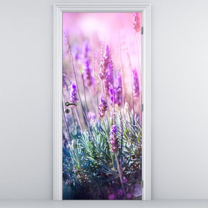 Fototapeta na dveře - Levandule ve třpytu slunce