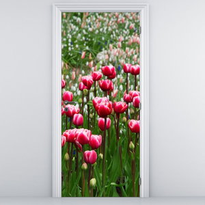 Fototapeta na dveře - Tulipány