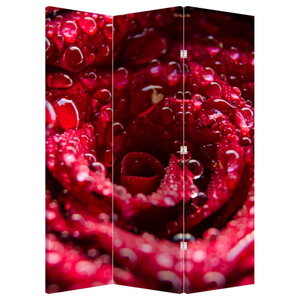 Paravent - Rote Rose