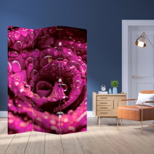 Kamerscherm - Roze roos (2)