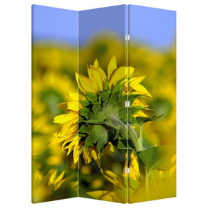 Paravent - Sonnenblume