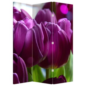 Paravent - Tulpen