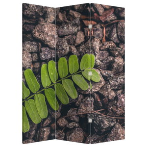 Kamerscherm - Groene plant
