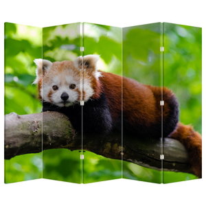 Paravan - Panda crvena