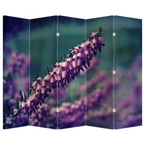 Paravan - Lavanda