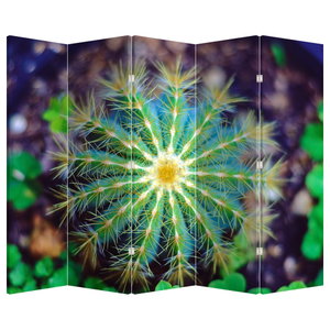 Paravan - Cactus