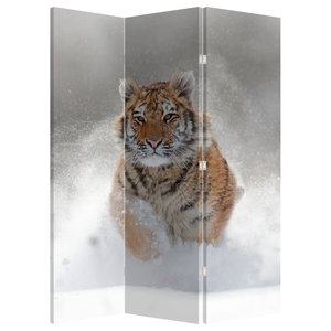 Paravan - Tigar koji trči po snijegu
