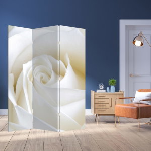 Kamerscherm - Witte roos (2)