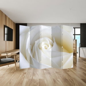 Paravent - Weiße Rose (3)