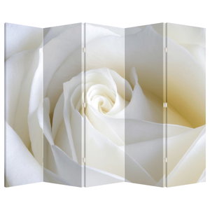 Paravent - Weiße Rose (4)