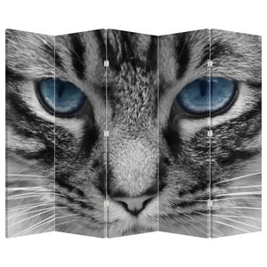 Paravan - Kat