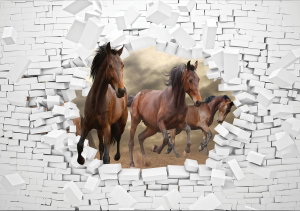 Fototapeta - 3D koně ve zdi (2)