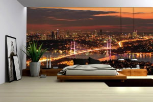 Fototapeta - Pohled na River City (3)