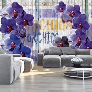 Fototapeta - Orchidej