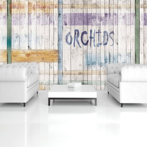 Fototapeta - Orchidey