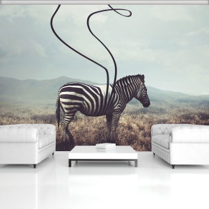 Fototapeta - Zebra