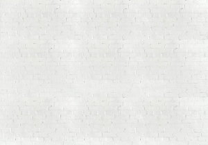 Fototapeta - Bílé cihly (2)