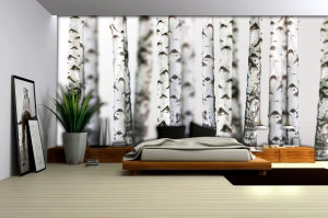 Fototapeta - Břízy (3)