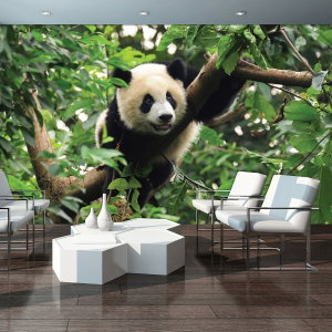 Foto tapeta - Panda