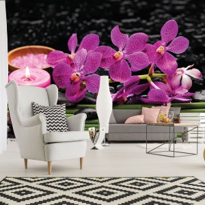 Fototapeta - Růžové orchideje