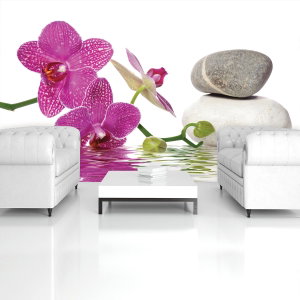 Fototapeta - Orchideje