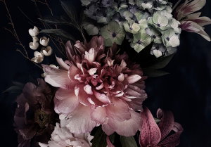 Fotobehang - Bloemen met een zwarte achtergrond (2)