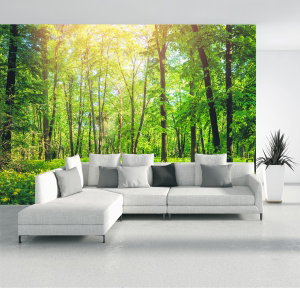 Fotobehang - Bos