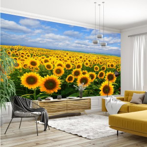 Fotobehang - Zonnebloemveld