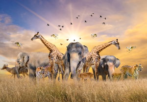 Fotobehang - Safari (2)