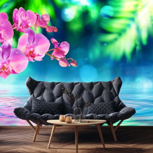 Fototapeta - Orchidea