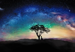 Fotobehang - Licht boven de boom (2)