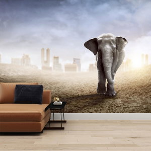 Fototapete - Baby Elefant in der Großstadt