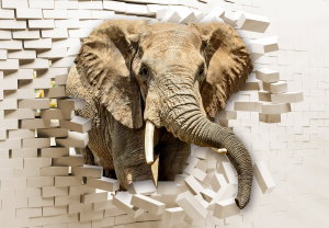 Fotobehang - Olifant rent door de muur heen (2)