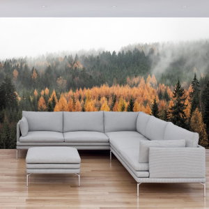 Fotobehang - Herfstbos