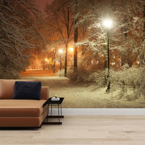 Fototapeta - Śnieżny park